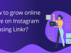 Small business 0wner: how to grow online store on Instagram by using Linkr?